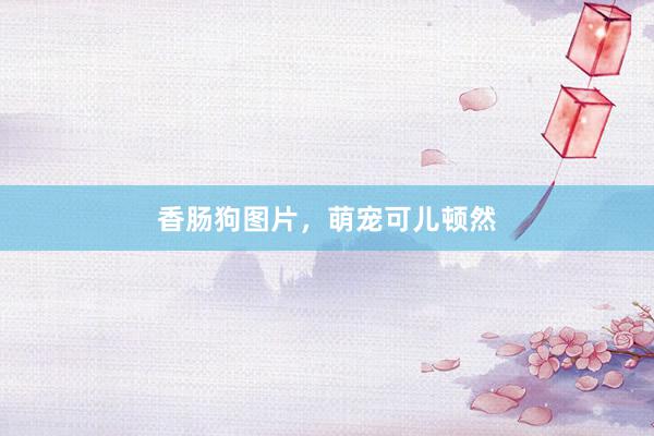 香肠狗图片,萌宠可儿顿然