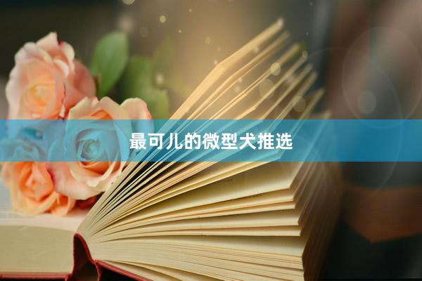 最可儿的微型犬推选